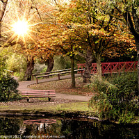 Buy canvas prints of Autumn in the park - Locke Park Redcar by Cass Castagnoli