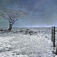 Buy canvas prints of Ice Blue Christmas - North York Moors by Cass Castagnoli