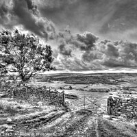 Buy canvas prints of Magnificent Moors - North Yorkshire monochrome by Cass Castagnoli