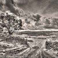 Buy canvas prints of Magnificent Moors - North Yorkshire by Cass Castagnoli