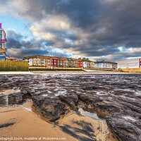 Buy canvas prints of Petrified Forest - Redcar by Cass Castagnoli