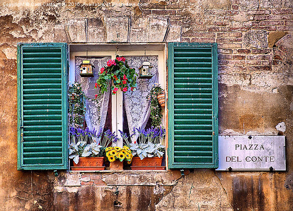 Piazza Del Conte Picture Board by Cass Castagnoli