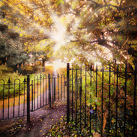 Buy canvas prints of The Kissing Gate by Cass Castagnoli