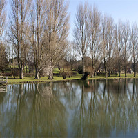 Buy canvas prints of Poplar trees by the Thames at Oxford by mike lester