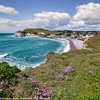 Buy canvas prints of Freshwater Bay Armeria Maritima by Wight Landscapes