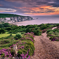 Buy canvas prints of Headon Hill And The Needles by Wight Landscapes