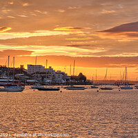 Buy canvas prints of Cowes Week Sunset Panorama by Wight Landscapes