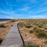 Buy canvas prints of Ilha Deserta Faro by Wight Landscapes