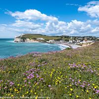 Buy canvas prints of Freshwater Bay Isle Of Wight by Wight Landscapes