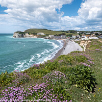 Buy canvas prints of Freshwater Bay Coastal Pasth by Wight Landscapes