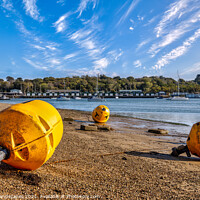 Buy canvas prints of St Helens Old Buoys  by Wight Landscapes