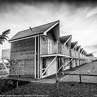 Buy canvas prints of Seaview Beach Huts Black and White by Wight Landscapes