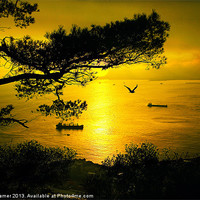 Buy canvas prints of Golden Sunset Gibraltar by Wight Landscapes