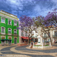 Buy canvas prints of Jacaranda Square Lagos by Wight Landscapes