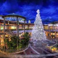 Buy canvas prints of Christmas Shopping by Wight Landscapes