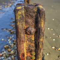 Buy canvas prints of Barnacle Bill by Wight Landscapes