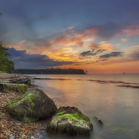 Buy canvas prints of Fishbourne Beach Sunset by Wight Landscapes