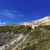 Buy canvas prints of The Undercliff Niton by Wight Landscapes