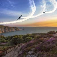 Buy canvas prints of Blades Over The Needles by Wight Landscapes