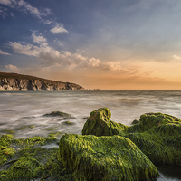 Buy canvas prints of The Needles and Alum Bay by Wight Landscapes