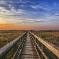 Buy canvas prints of Newtown Creek Walkway by Wight Landscapes