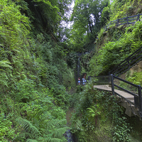 Buy canvas prints of Shanklin Chine by Wight Landscapes