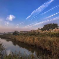 Buy canvas prints of Hersey Nature Reserve by Wight Landscapes