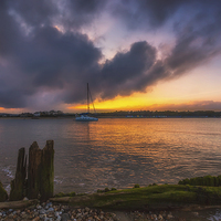 Buy canvas prints of Harbour Lights by Wight Landscapes