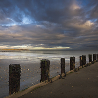 Buy canvas prints of Shanklin Beach Groyne by Wight Landscapes