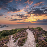 Buy canvas prints of The Needles Sunset by Wight Landscapes