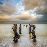 Buy canvas prints of Broken Beach Jetty by Wight Landscapes