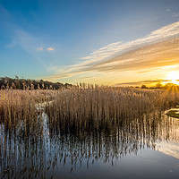 Buy canvas prints of Yarmouth Salt Marsh Sunset by Wight Landscapes