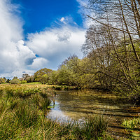 Buy canvas prints of Water Meadow by Wight Landscapes