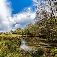 Buy canvas prints of Isle Of Wight Water Meadow by Wight Landscapes