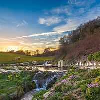 Buy canvas prints of Clifftop Gardens Ventnor by Wight Landscapes