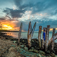 Buy canvas prints of Woodside Bay Isle Of Wight Sunset by Wight Landscapes