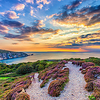 Buy canvas prints of Sunset At The Needles Isle Of Wight by Wight Landscapes