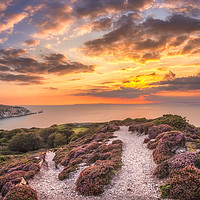 Buy canvas prints of The Needles Sunset Panorama by Wight Landscapes