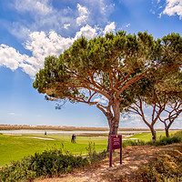 Buy canvas prints of Algarve Golf by Wight Landscapes