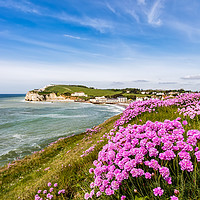 Buy canvas prints of Sea Of Pink Thrift by Wight Landscapes