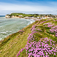 Buy canvas prints of Freshwater Bay Thrift by Wight Landscapes