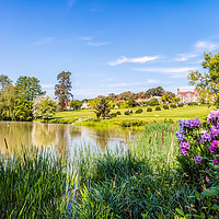 Buy canvas prints of Lakeside Views by Wight Landscapes