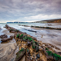 Buy canvas prints of Compton Beach Ledges by Wight Landscapes