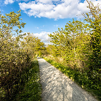 Buy canvas prints of Yarmouth to Freshwater Cycleway by Wight Landscapes