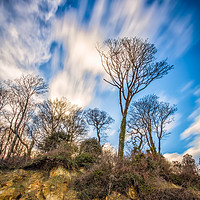 Buy canvas prints of Priory Bay Isle Of Wight by Wight Landscapes