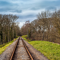 Buy canvas prints of Isle Of Wight Steam Railway Track by Wight Landscapes
