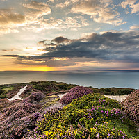 Buy canvas prints of Headon Hill Sunset by Wight Landscapes