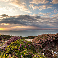 Buy canvas prints of Sunset On Headon Hill by Wight Landscapes