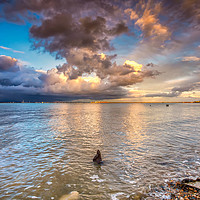 Buy canvas prints of Western Beach Sunset Ryde by Wight Landscapes