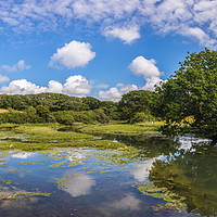 Buy canvas prints of Newtown Causeway Panorama by Wight Landscapes